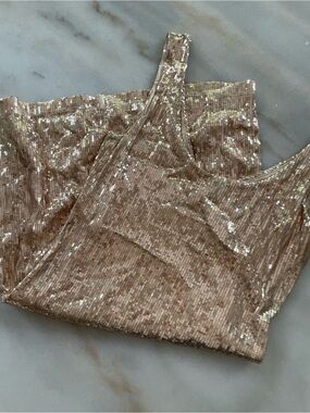 Velvet Torch Champagne Sequin Mini Dress